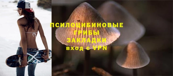 первитин Абинск