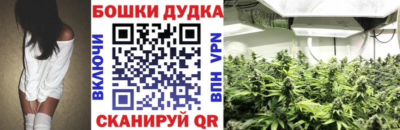 Бошки марихуана White Widow  kraken tor  Абаза 